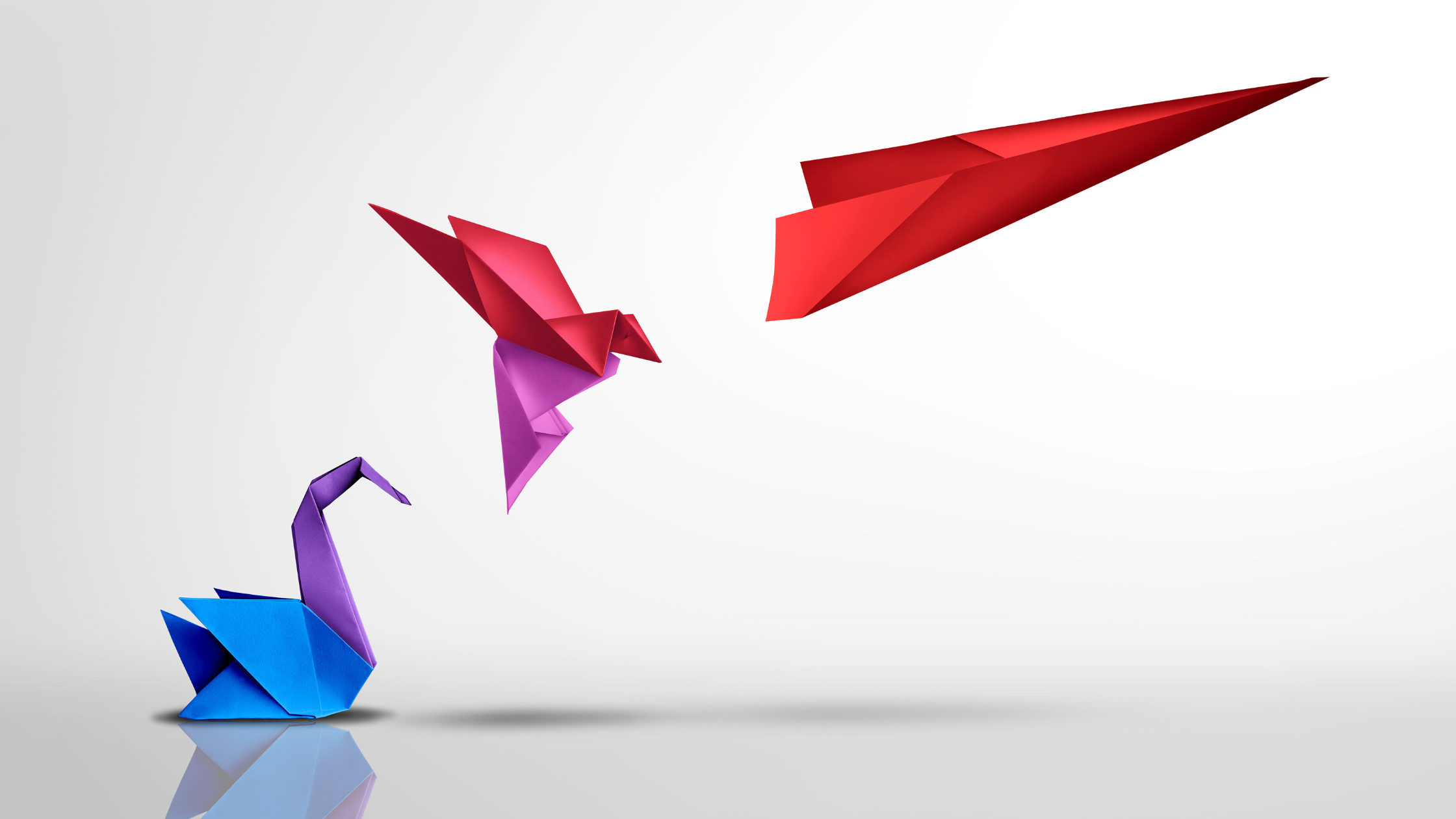 Cómo la Metodología RAÍZ Transforma tu Marca desde la Esencia