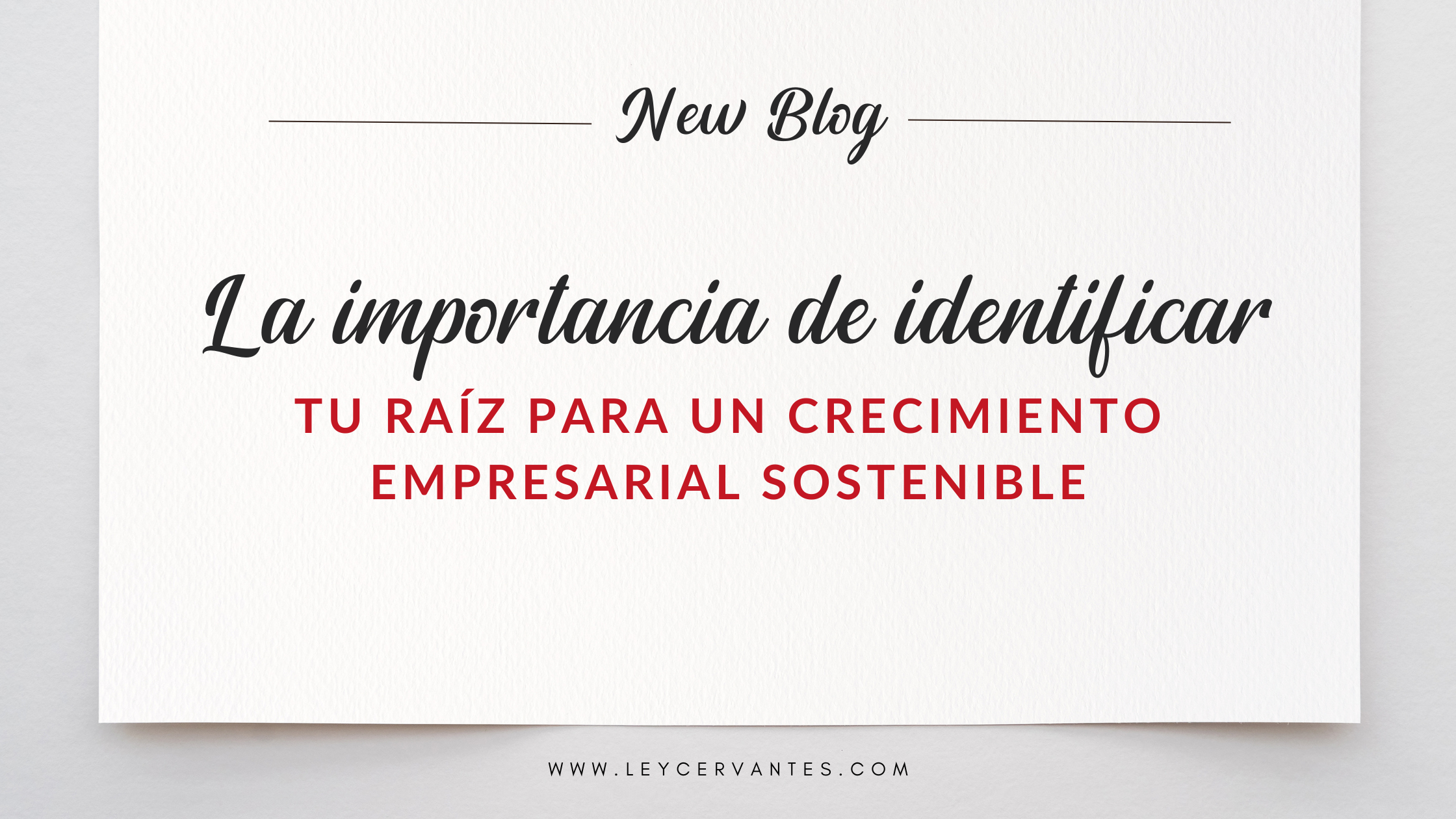 identificar tu RAÍZ para un crecimiento empresarial